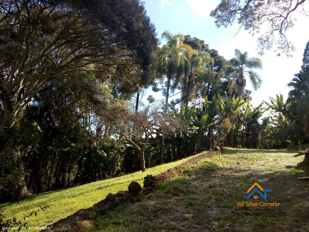 Fazenda, 10000 m² - Foto 9