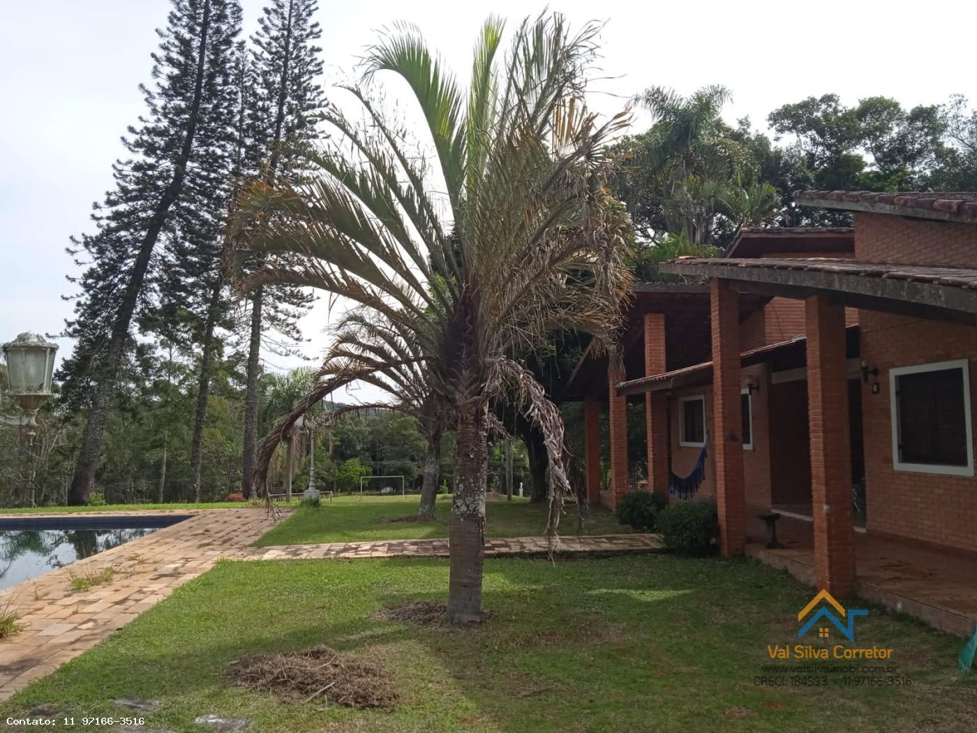 Fazenda, 11 hectares - Foto 14