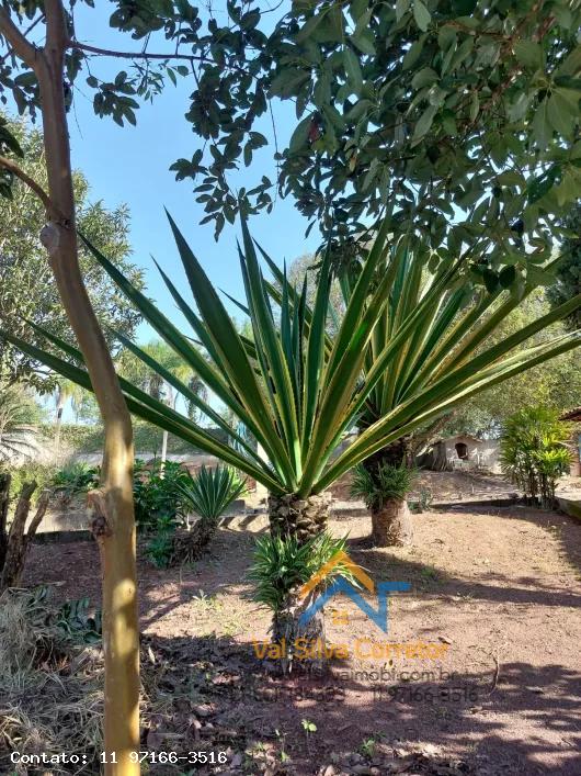 Fazenda, 1 hectares - Foto 17