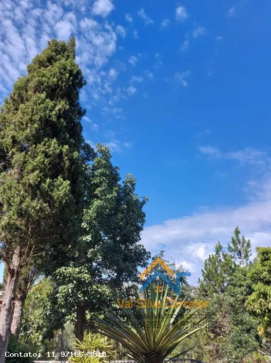 Fazenda, 1 hectares - Foto 19