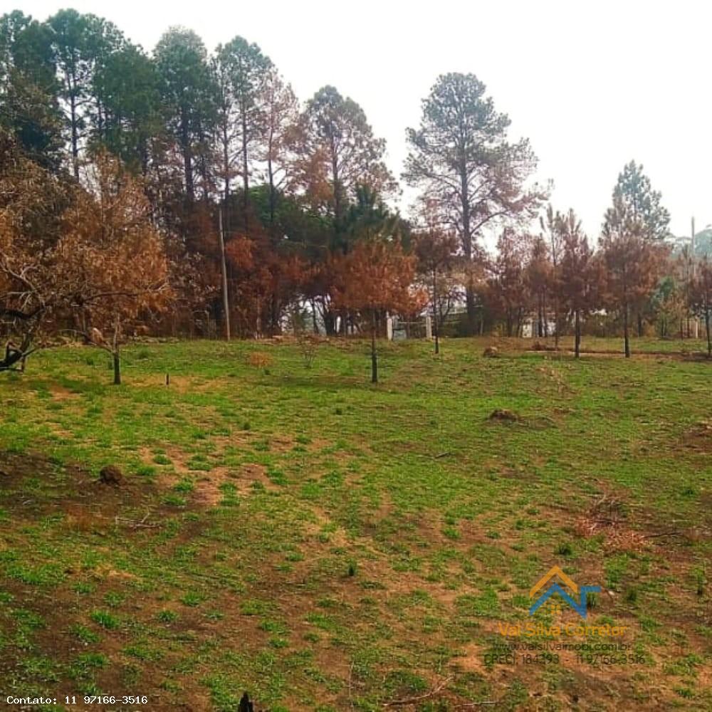 Fazenda, 14 hectares - Foto 14