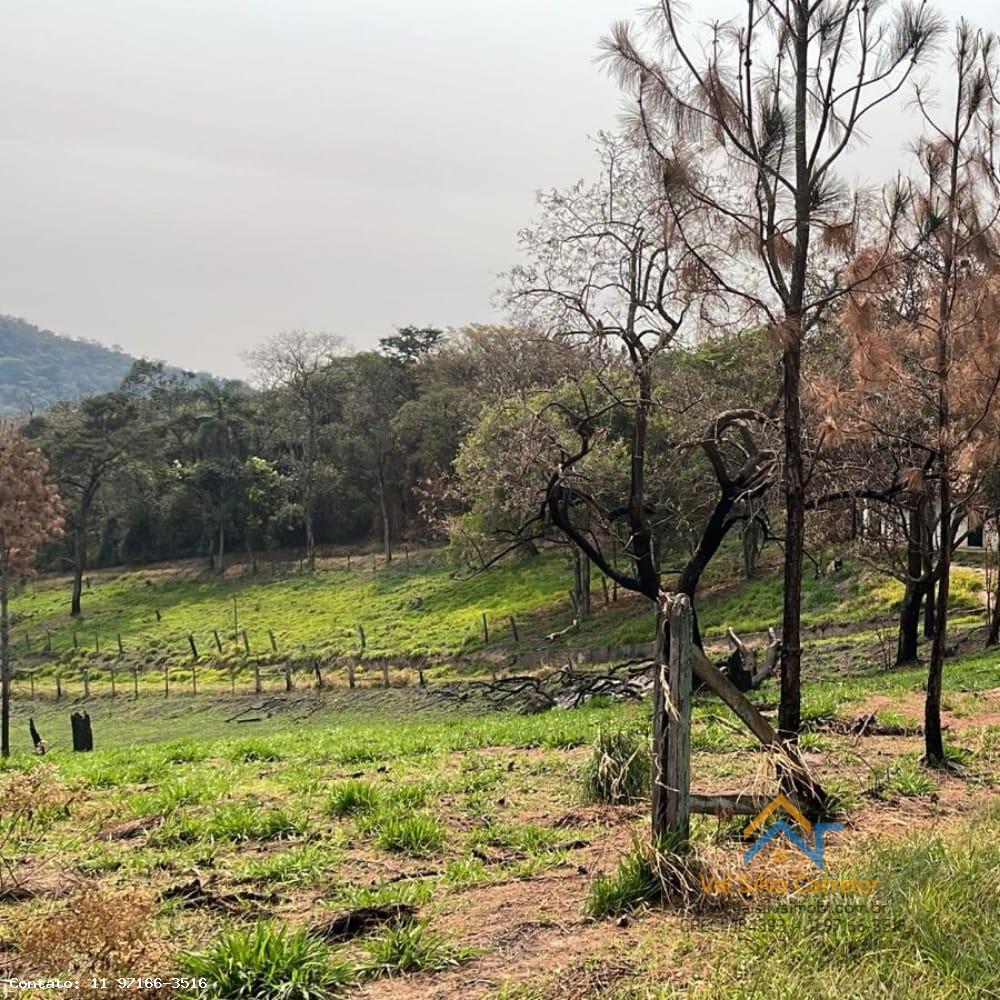 Fazenda, 14 hectares - Foto 13