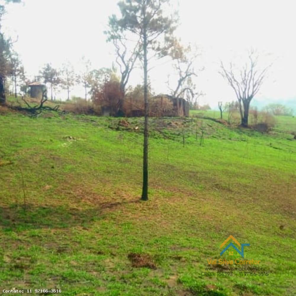 Fazenda, 14 hectares - Foto 12