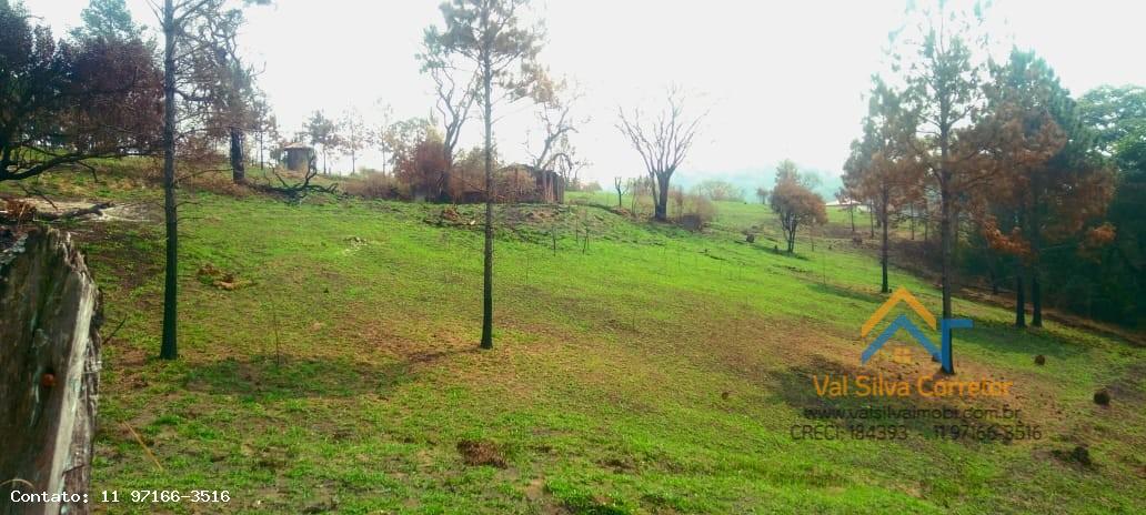 Fazenda, 14 hectares - Foto 21