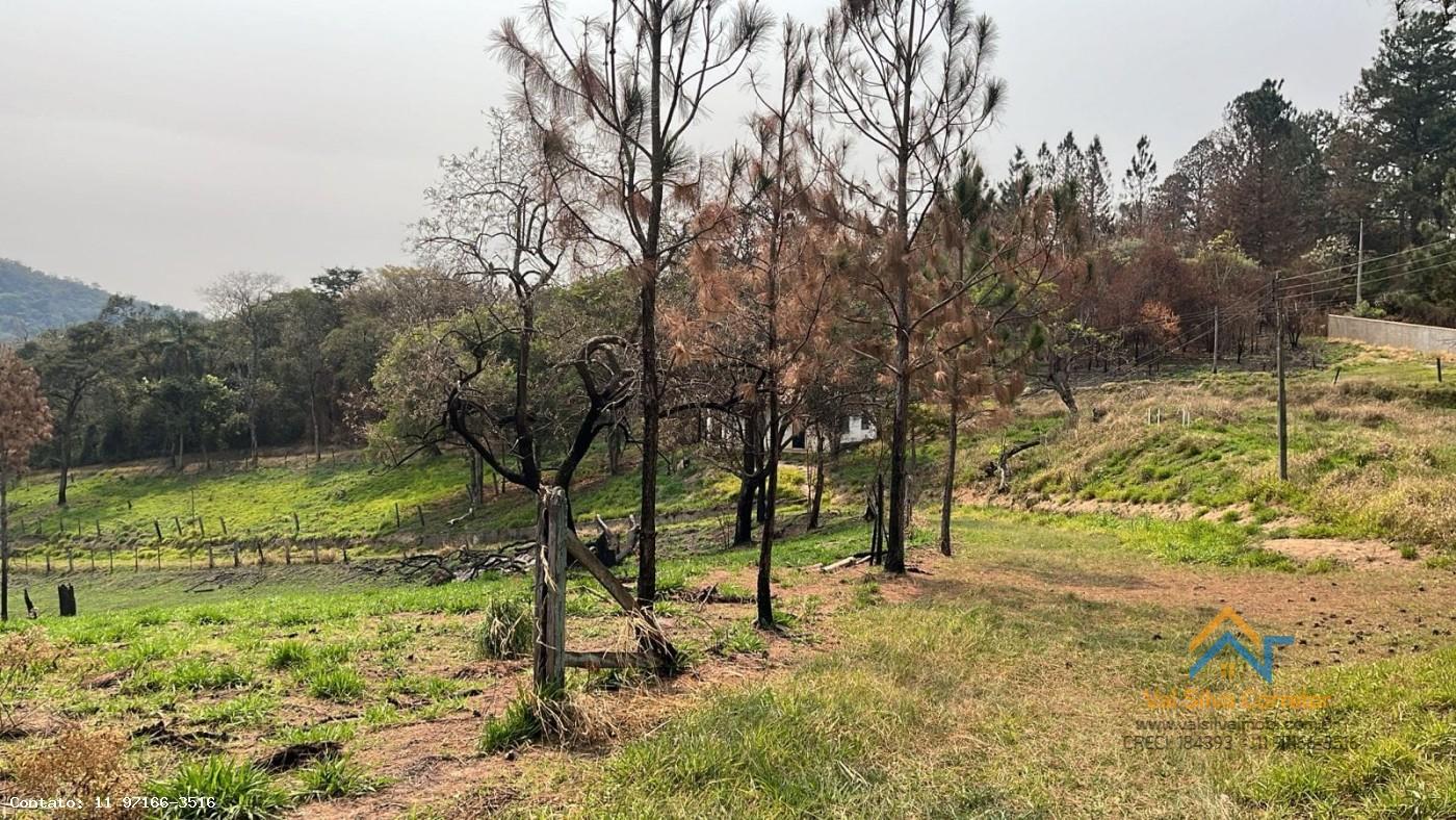 Fazenda, 14 hectares - Foto 15