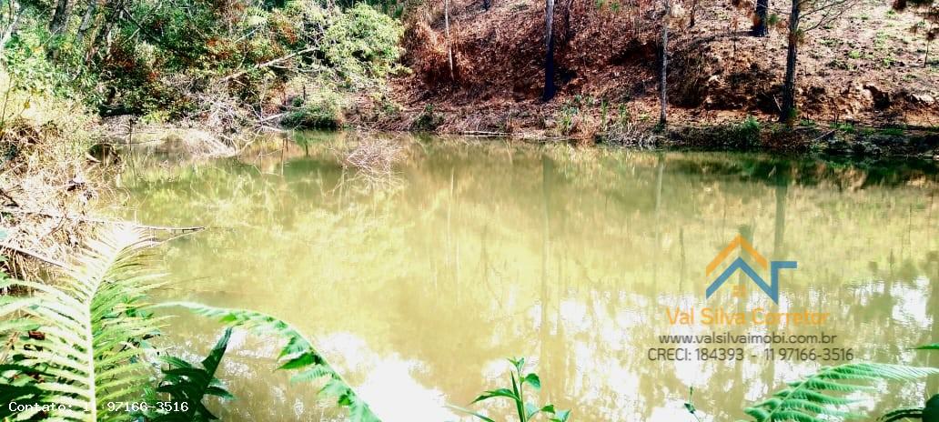 Fazenda, 14 hectares - Foto 11