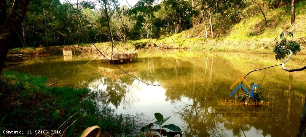 Fazenda, 14 hectares - Foto 28