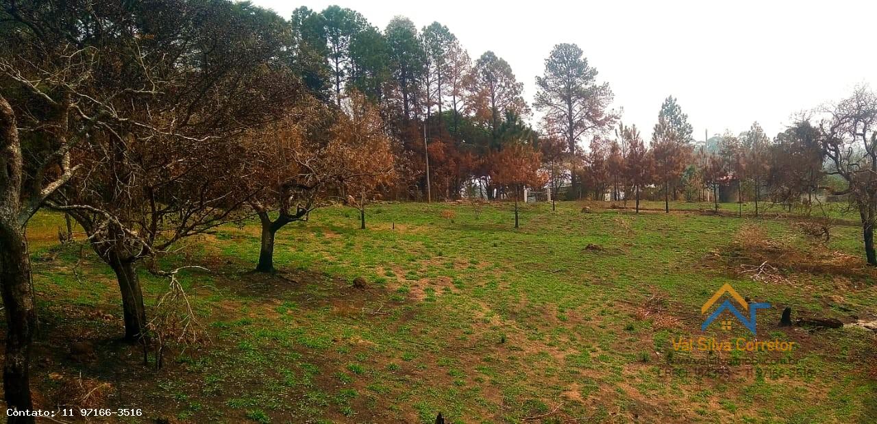 Fazenda, 14 hectares - Foto 24