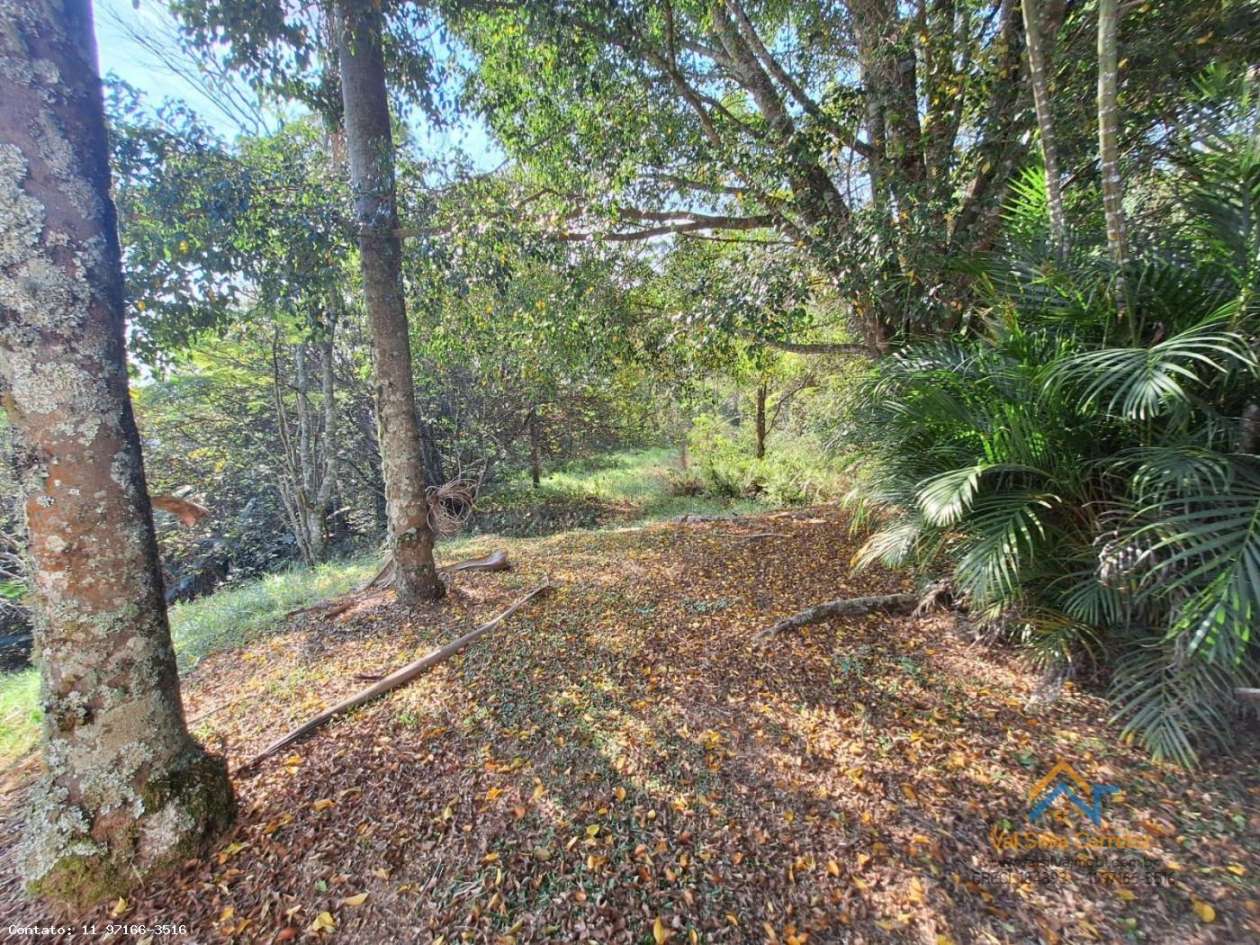 Fazenda, 8 hectares - Foto 10