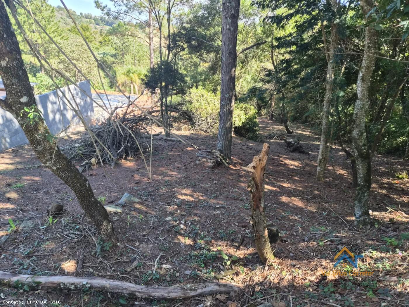 Terreno, 1078 m² - Foto 5